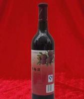 醇粹时光 品味干红杨梅酒的果实发酵之旅